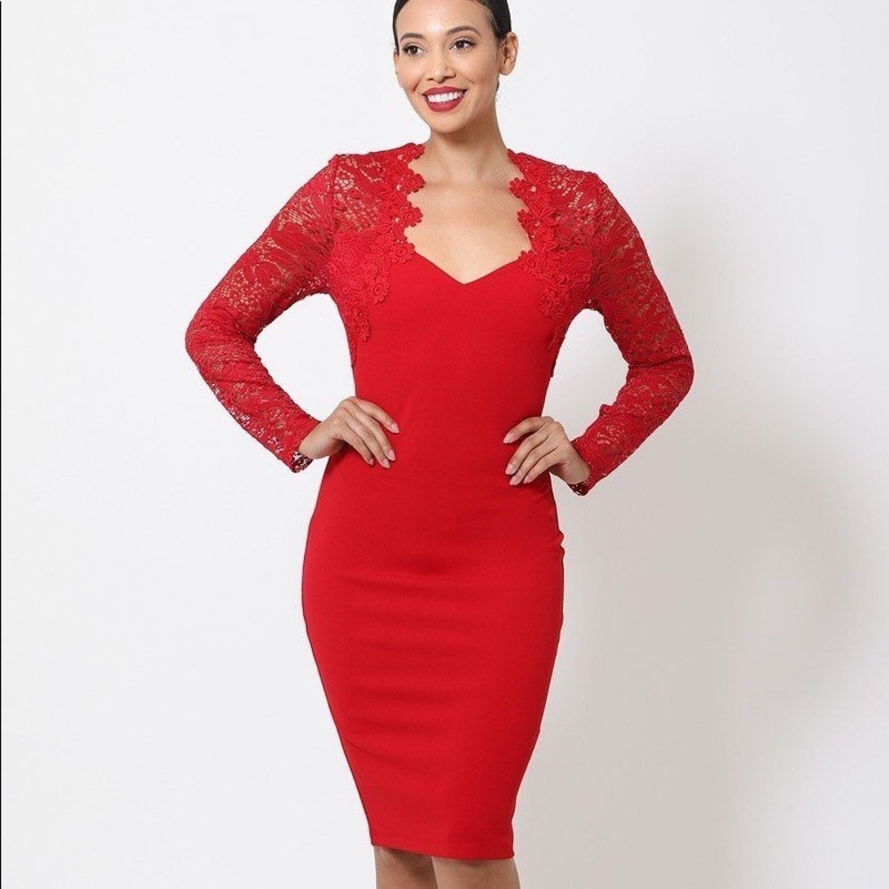 Crochet-lace Bodycon Dress